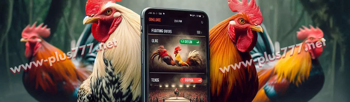 Cockfighting at Plus777